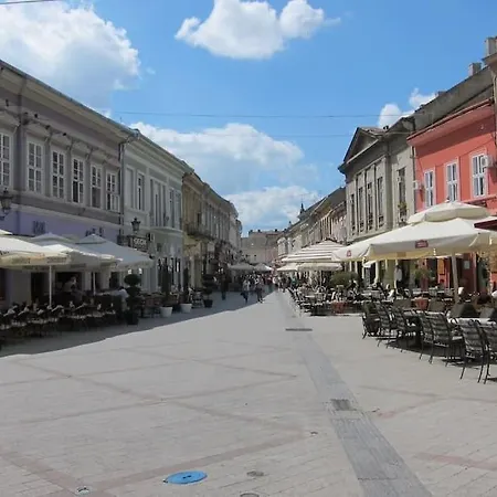 Green Central Studio * Novi Sad