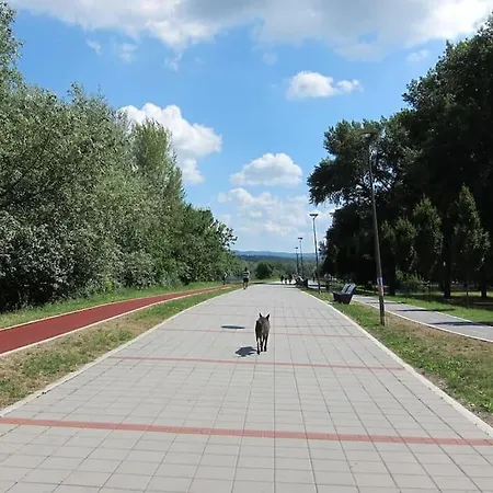 Green Central Studio