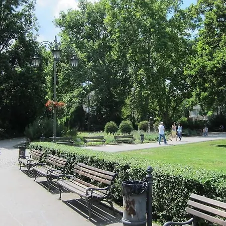 Green Central Studio * Novi Sad